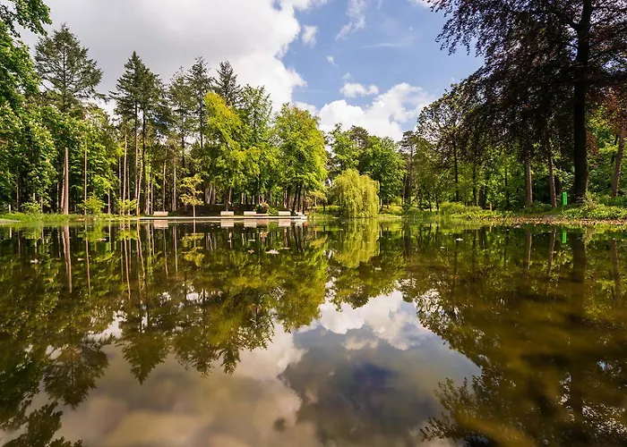 ベスト ウェスタン プレミア パーク ＆ スパ